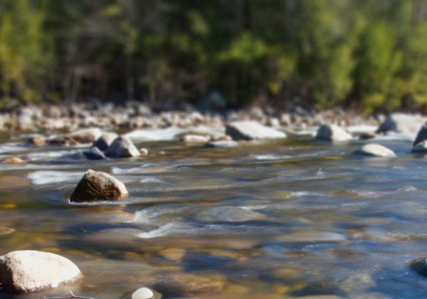 La Fundación Enterprise Rent-A-Car apoya la conservación de ríos y cuencas hidrográficas donando 30 millones de dólares a The Nature Conservancy