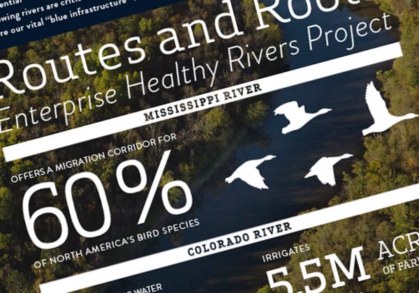 Estudio de CWT: los millennials gustan de viajar en grupo y son los más preocupados por la seguridad