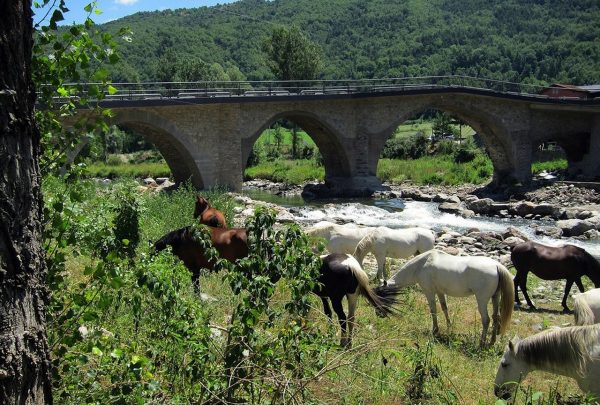 Nace una iniciativa para dotar de conectividad a la ‘España Vaciada’