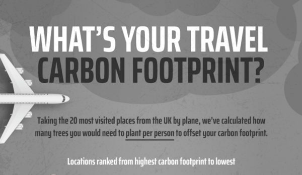 INFOGRAFÍA: ¿Cuántos árboles deberías plantar para compensar el impacto de tus viajes?