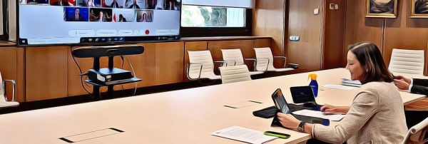 España defiende en el G20 los certificados de movilidad para reiniciar los viajes