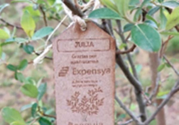 Expensya refuerza su compromiso con el medioambiente y asocia a sus clientes para plantar árboles en zonas deforestadas españolas