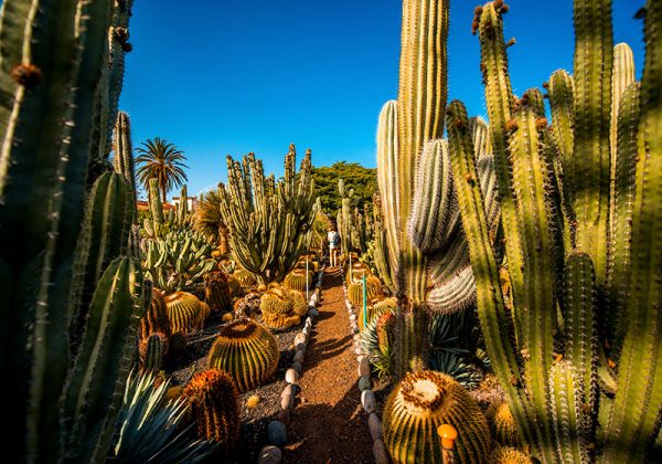 Paradisus by Meliá aterriza en Europa con la apertura de Paradisus Gran Canaria