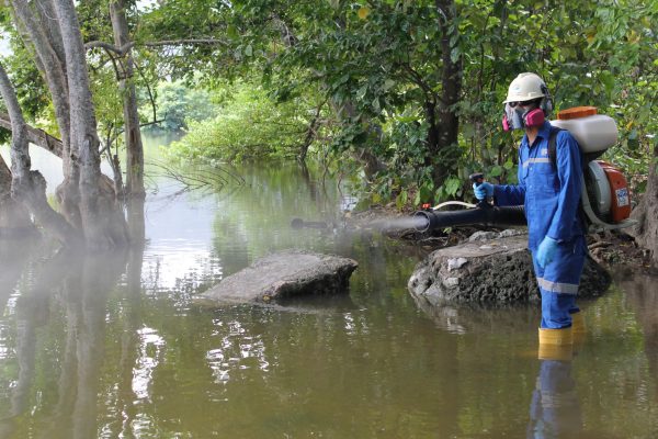 Día Mundial de la Malaria: sensibilizar a viajeros y trabajadores