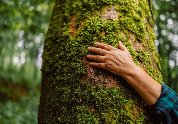 5 claves para ofrecer viajes sostenibles mediante la innovación