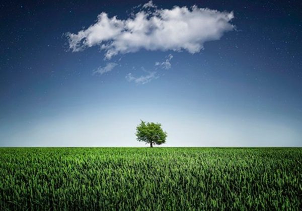 Día Mundial del Reciclaje. Vincci Hoteles recicla el 55% de sus residuos en 2022