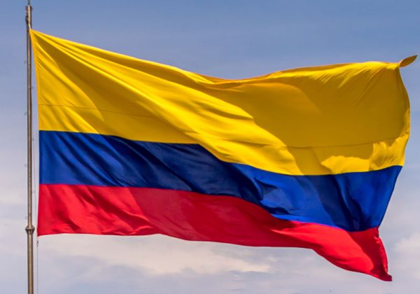 Flash Webinar: Los Retos de la Seguridad en Colombia