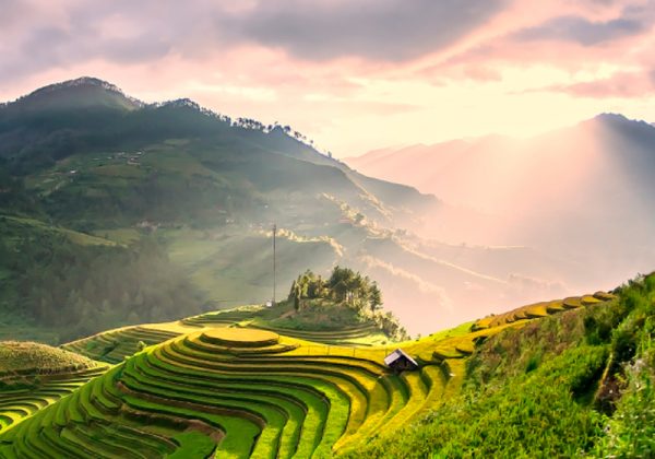 Turkish aumenta sus frecuencias a China