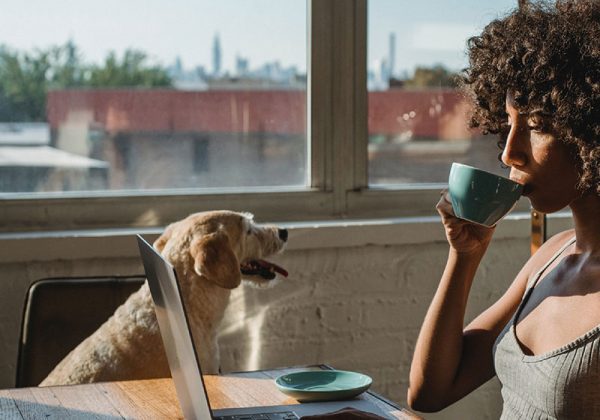 ¡5 razones por las que elegir los apartamentos corporativos!