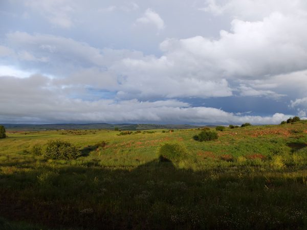 IAG7 avanza en su plan sostenible con la adquisición del Bosque de Sierra de Pela