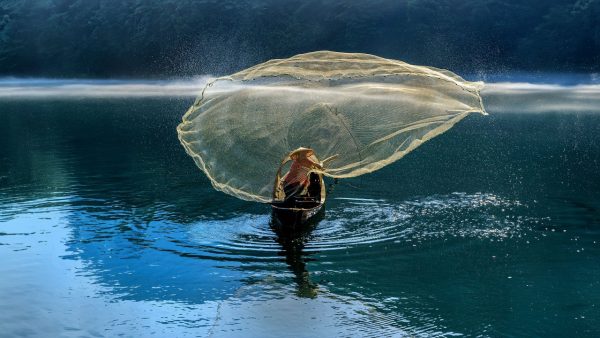 Amadeus lanza Travel Impact Suite para enriquecer los datos sobre sostenibilidad