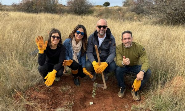 Iag7viajes planta el árbol del summit de aegve en los campos de Soria